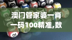 澳门管家婆一肖一码100精准,数据引导执行策略_颠覆版BFV21.212