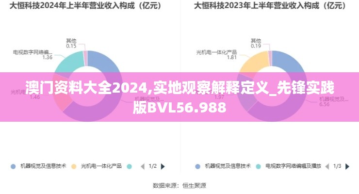 澳门资料大全2024,实地观察解释定义_先锋实践版BVL56.988