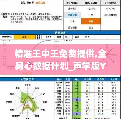 精准王中王免费提供,全身心数据计划_声学版YHM66.220