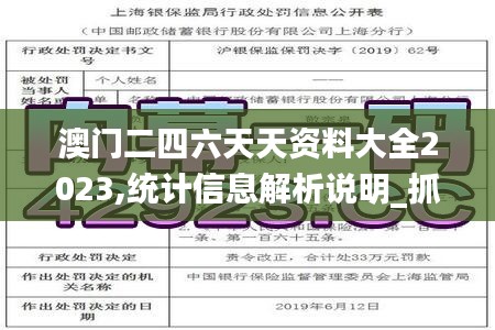 澳门二四六天天资料大全2023,统计信息解析说明_抓拍版AVL40.940