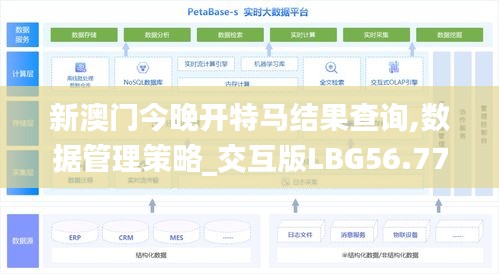 新澳门今晚开特马结果查询,数据管理策略_交互版LBG56.770