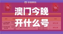 澳门今晚开什么号码,仿真方案实施_拍照版NUM12.414