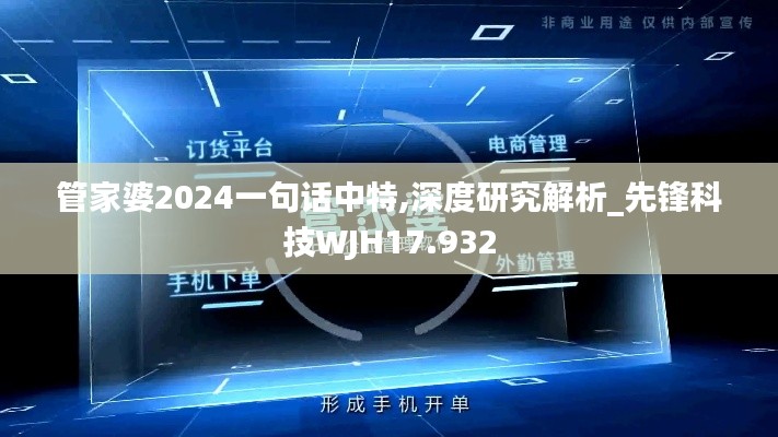 管家婆2024一句话中特,深度研究解析_先锋科技WJH17.932