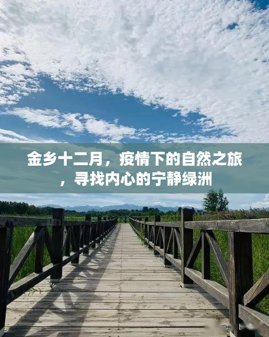 金乡十二月，疫情下的自然探索之旅，寻找内心的宁静港湾