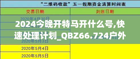 2024今晚开特马开什么号,快速处理计划_QBZ66.724户外版