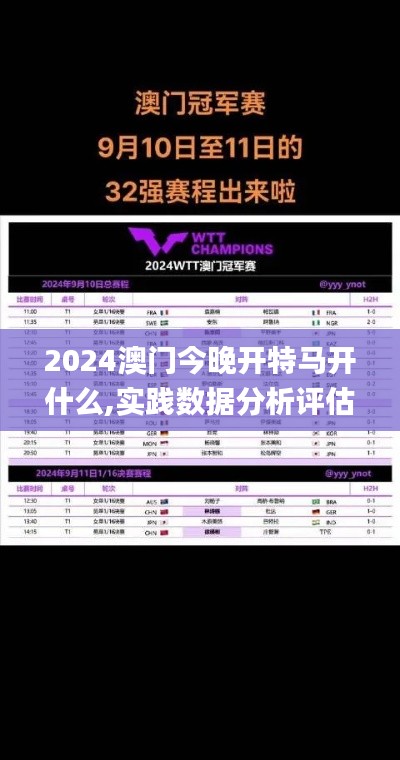 2024澳门今晚开特马开什么,实践数据分析评估_先锋科技FTK88.749