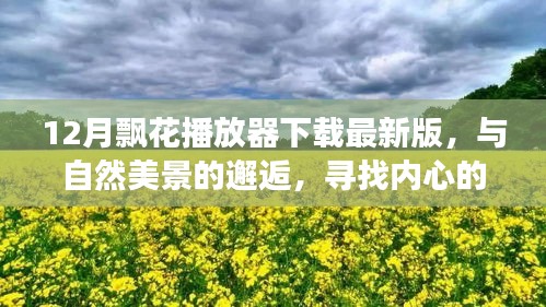 与自然美景邂逅，最新飘花播放器下载，开启内心平和之旅