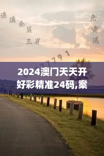 2024澳门天天开好彩精准24码,案例实证分析_精选版PTW46.129