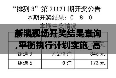 新澳现场开奖结果查询,平衡执行计划实施_高效版GUA32.843