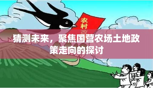 聚焦未来，国营农场土地政策走向深度探讨