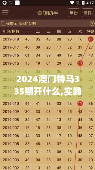 2024澳门特马335期开什么,实践调查说明_ULO47.439影像处理版