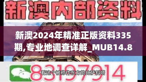 新澳2024年精准正版资料335期,专业地调查详解_MUB14.886职业版