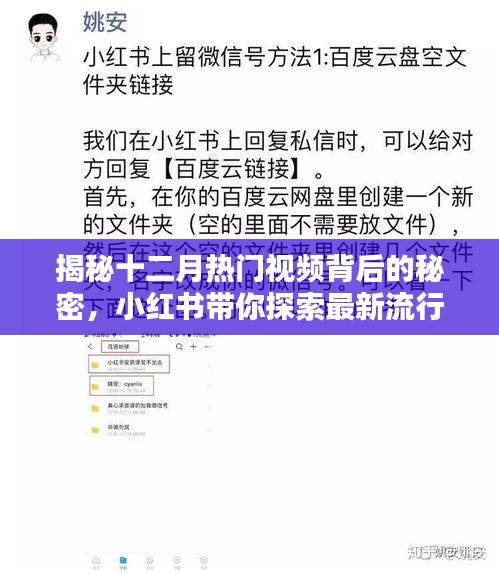 揭秘十二月热门视频背后的秘密，小红书引领最新流行趋势探索！