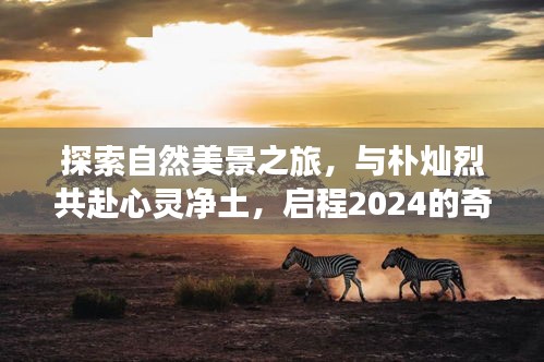 启程2024，与朴灿烈共赴心灵净土的自然探索之旅