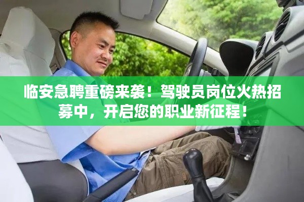 临安急聘！驾驶员岗位火热招募，启程职业新征程