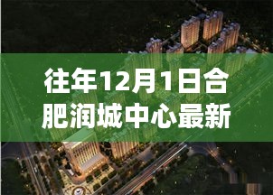 合肥润城中心最新动态及市场分析，历年12月1日综述