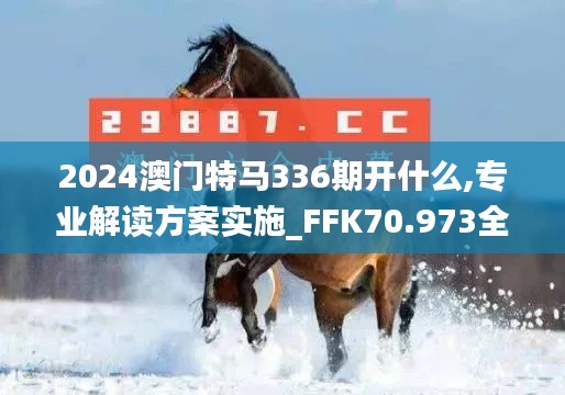 2024澳门特马336期开什么,专业解读方案实施_FFK70.973全球版