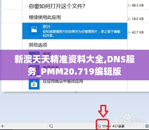 新澳天天精准资料大全,DNS服务_PMM20.719编辑版