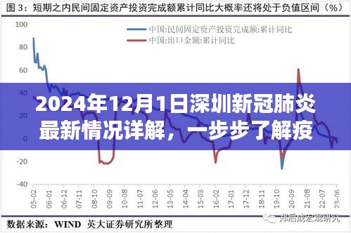 2024年深圳新冠肺炎最新情况详解，疫情现状与应对策略深度剖析