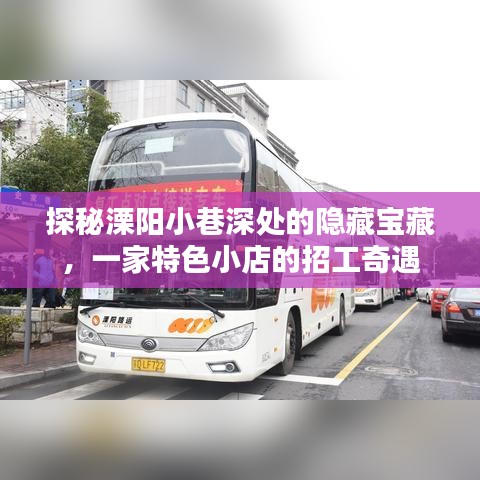 溧阳小巷隐藏宝藏揭秘，特色小店招工奇遇之旅