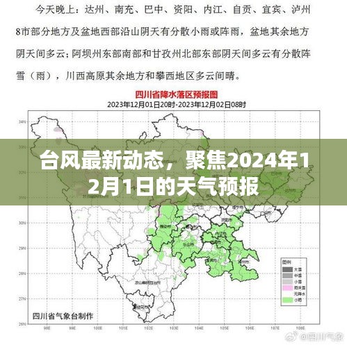 聚焦台风动态，2024年12月1日天气预报更新