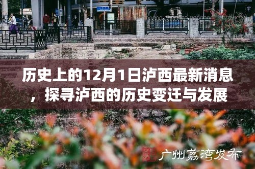 探寻泸西历史变迁与发展轨迹，最新消息聚焦12月1日泸西