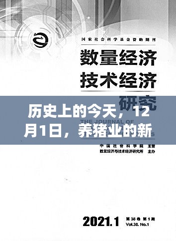 2024年12月2日 第29页