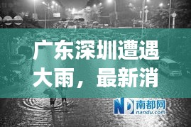 广东深圳暴雨引发观点碰撞与个人立场探讨