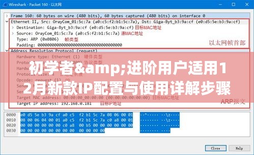 初学者与进阶用户指南，12月新款IP配置详解与使用步骤指南