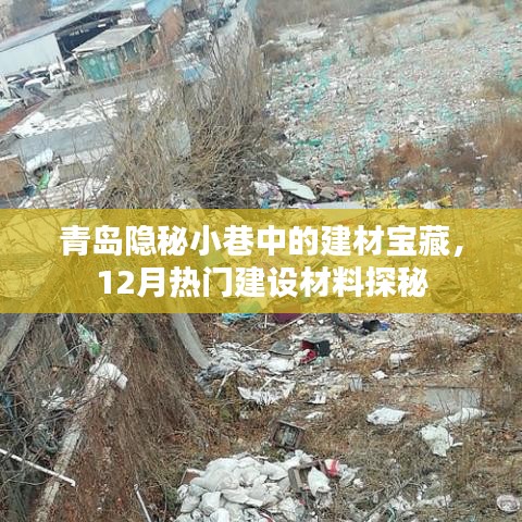 青岛隐秘小巷建材宝藏揭秘，12月热门建设材料探秘之旅