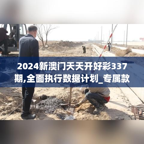 2024新澳门天天开好彩337期,全面执行数据计划_专属款8.206-3