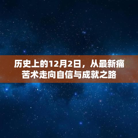 2024年12月3日 第25页