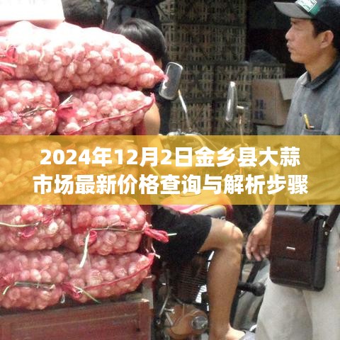 金乡县大蒜市场最新价格查询与解析步骤指南（2024年12月版）