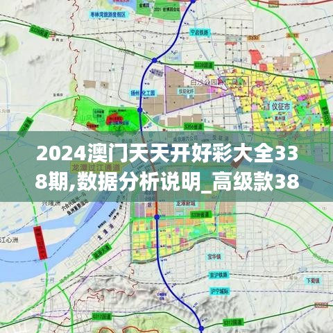 2024澳门天天开好彩大全338期,数据分析说明_高级款38.920-8