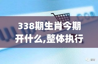 338期生肖今期开什么,整体执行讲解_Phablet38.634-1