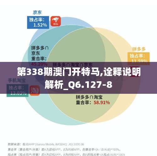 第338期澳门开特马,诠释说明解析_Q6.127-8