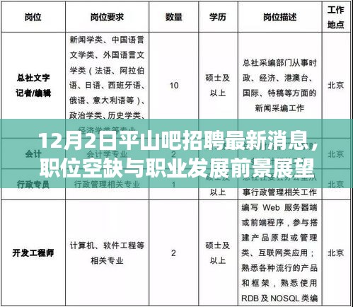 12月2日平山吧招聘最新消息，职位空缺与职业发展前景展望