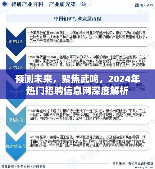 聚焦武鸣，2024年热门招聘信息网深度解析及未来趋势预测