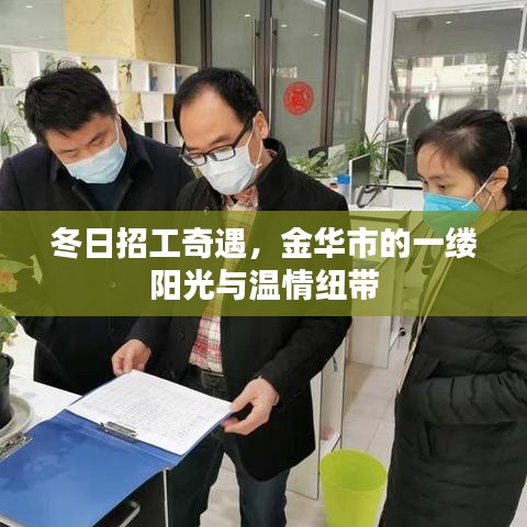 冬日招工奇遇，金华市阳光下的温情纽带