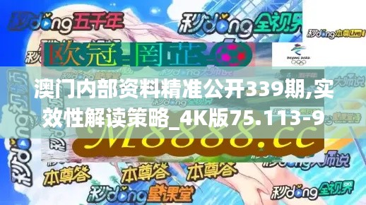 澳门内部资料精准公开339期,实效性解读策略_4K版75.113-9