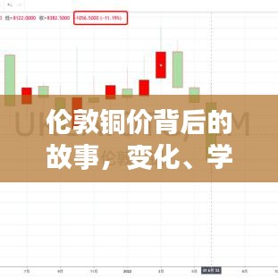 伦敦铜价背后的故事，变化、学习与自信的力量探索