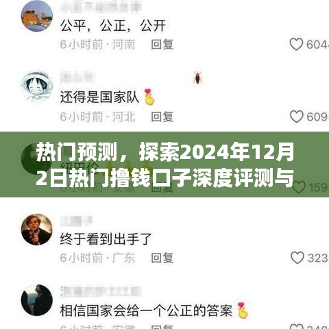 热门预测揭秘，深度评测与介绍2024年热门撸钱口子新动向