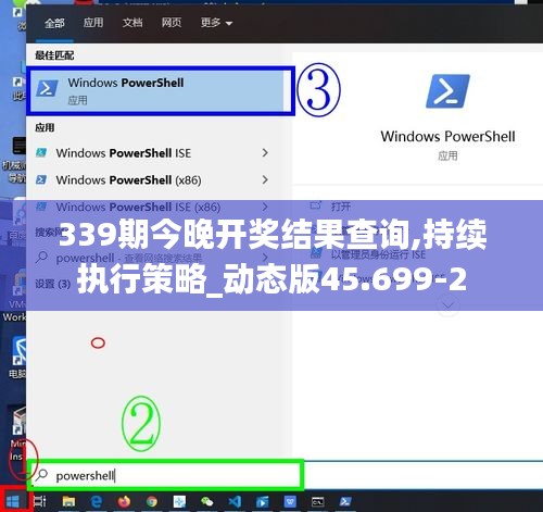 339期今晚开奖结果查询,持续执行策略_动态版45.699-2