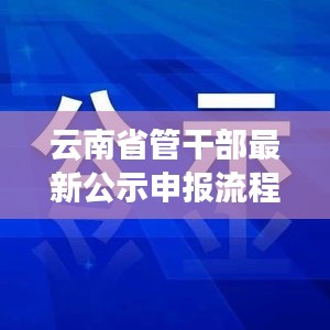 云南省管干部公示申报流程全新详解