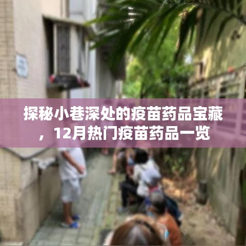 探秘小巷深处的疫苗药品宝藏，揭秘十二月热门疫苗药品全攻略