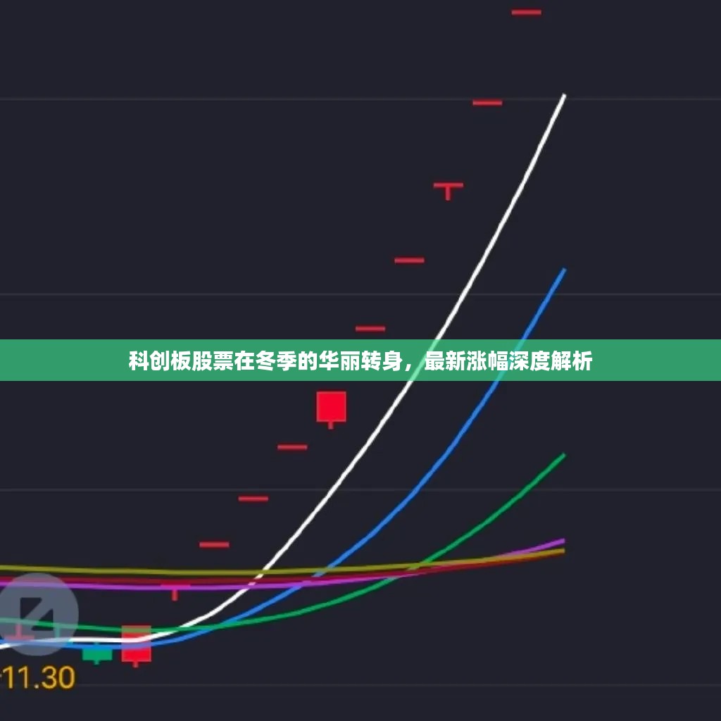 手不释卷 第2页