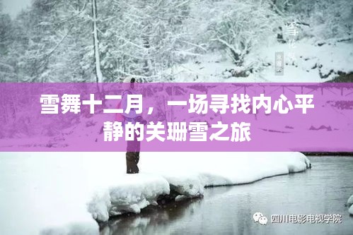 关珊雪之旅，十二月的雪舞与内心平静的追寻