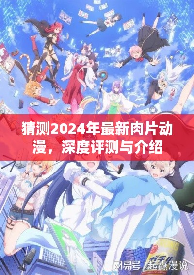 2024年最新肉片动漫猜想，深度评测与介绍