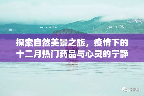 自然探索之旅与疫情下的药品热点，宁静心灵的十二月指南