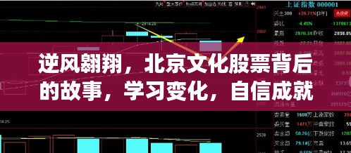 北京文化股票逆风翱翔，学习变化，自信塑造未来之路